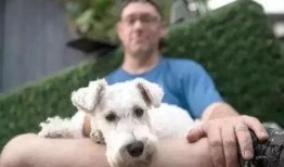 看萌狗最新爆料视频大全,萌宠集结！看萌狗最新爆料视频大全